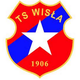 维斯拉女篮logo