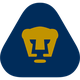 美洲狮 logo