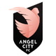 天使城女足 logo